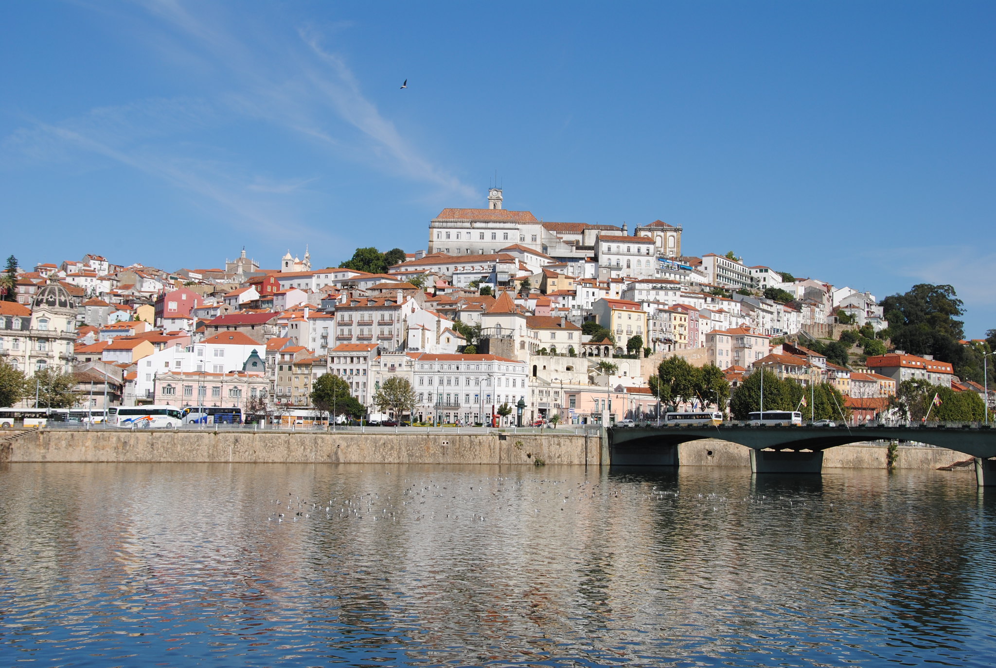 10 Best Things to do in Coimbra, Portugal