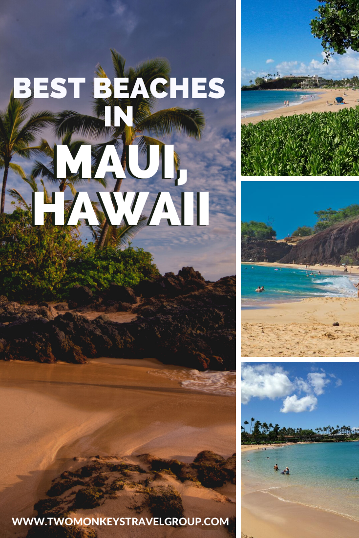 Best Beaches in Maui, Hawaii Top 10 Beaches in Maui [With Photos]