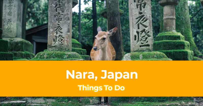 5 Things To Do in Nara, Japan [With Suggested Tours]