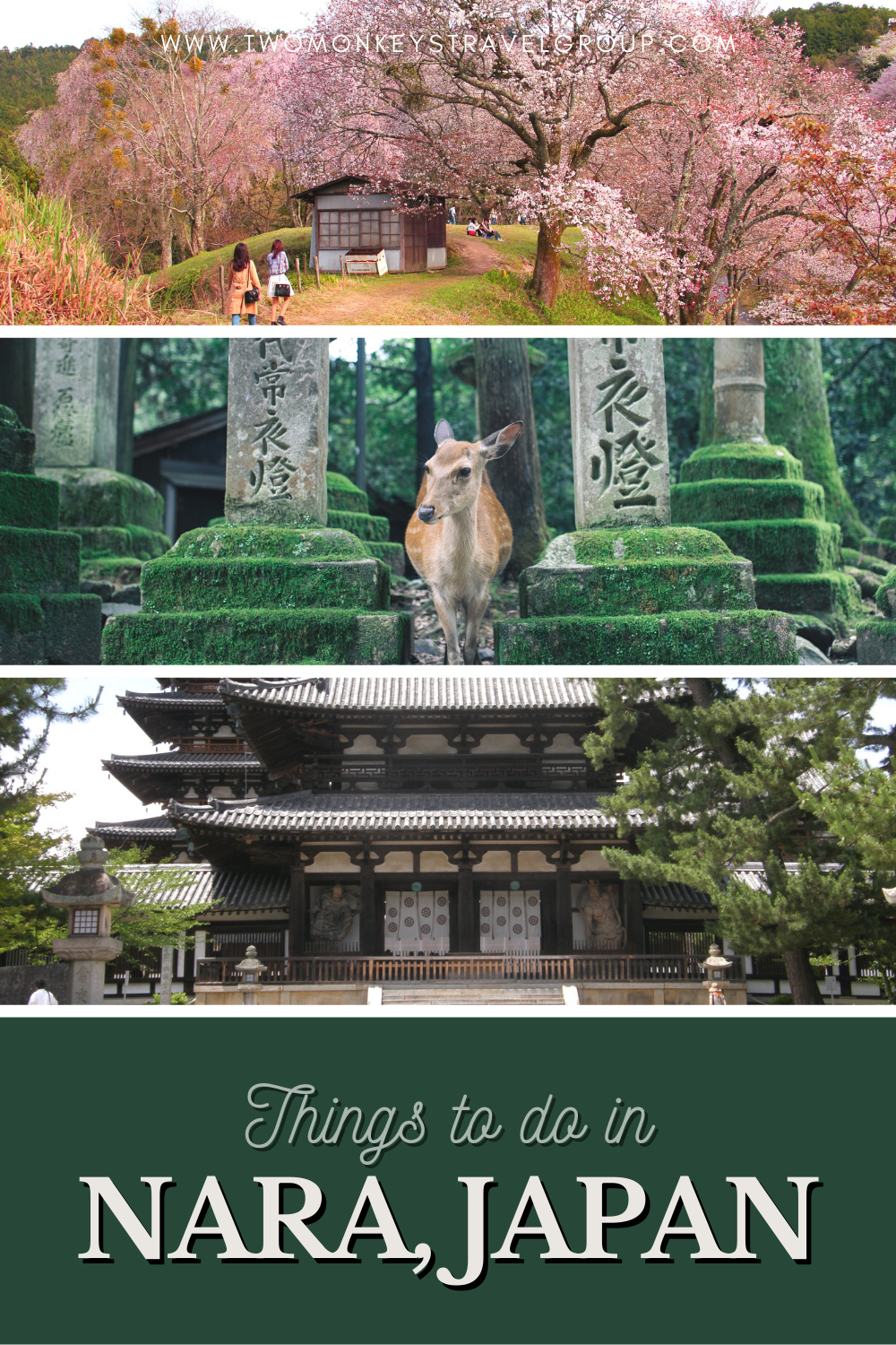5 Things To Do in Nara, Japan [With Suggested Tours]