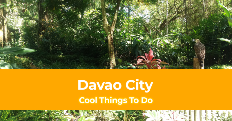 5 Cool Things To Do in Davao City and Suggestion on the Best Nature Parks to Visit