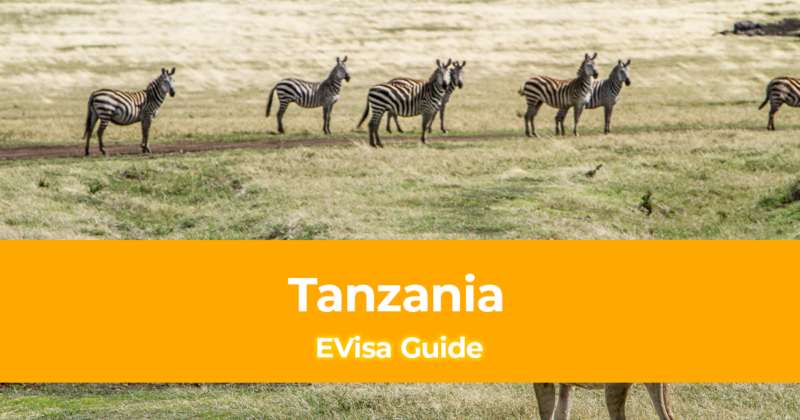 How to Get a Tanzania EVisa for Filipinos and Other Nationalities