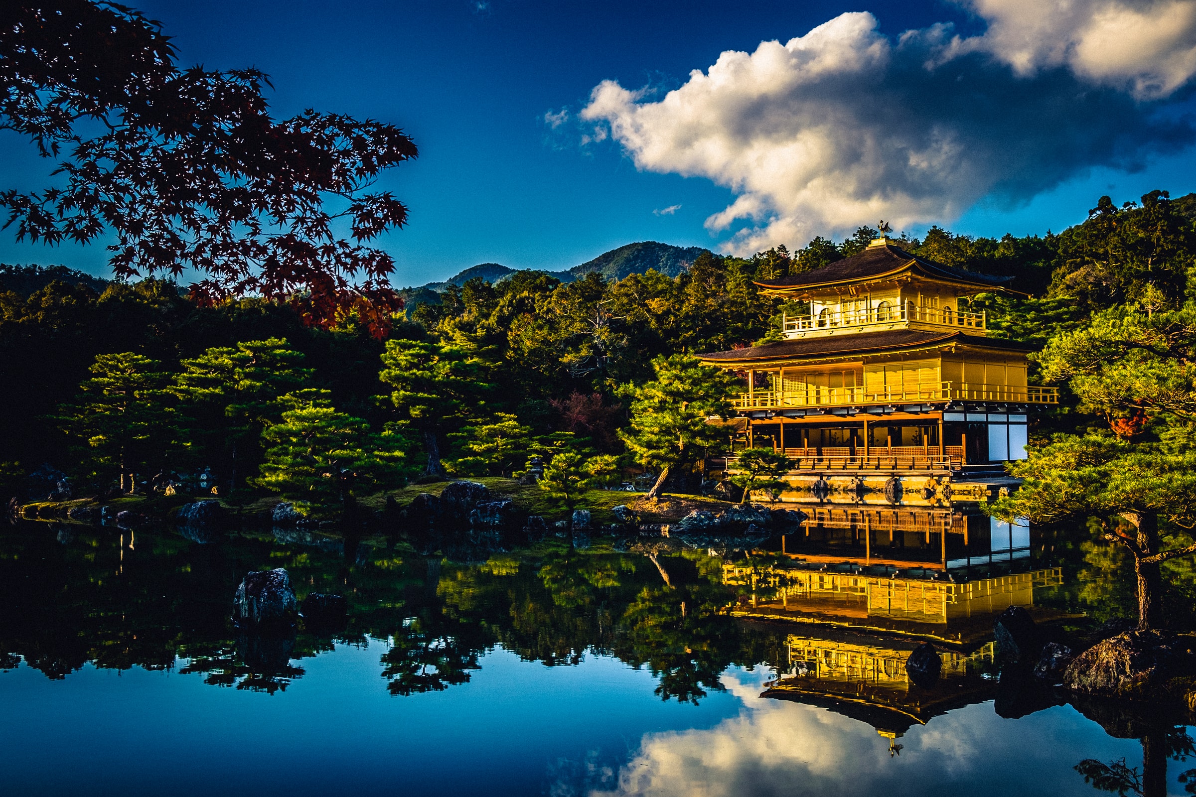 kyoto land tour