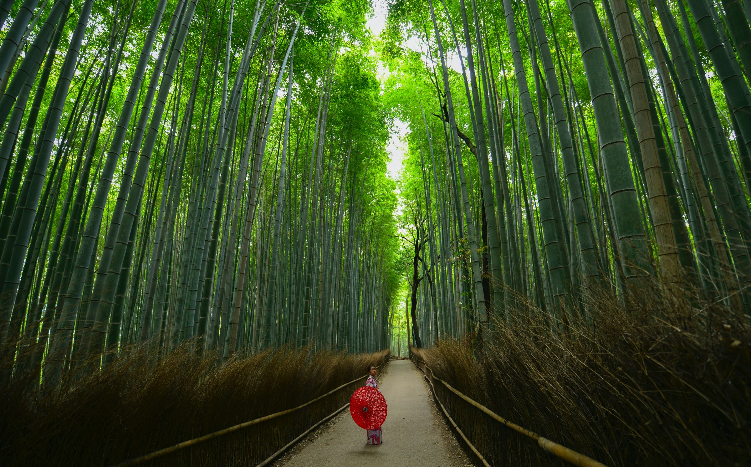 10 Things To Do In Kyoto Prefecture, Japan [with Suggested Tours] 04