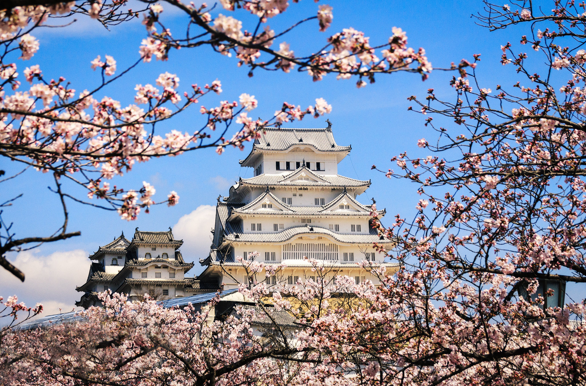 5 Best Things To Do in Himeji, Japan [with Suggested Tours]