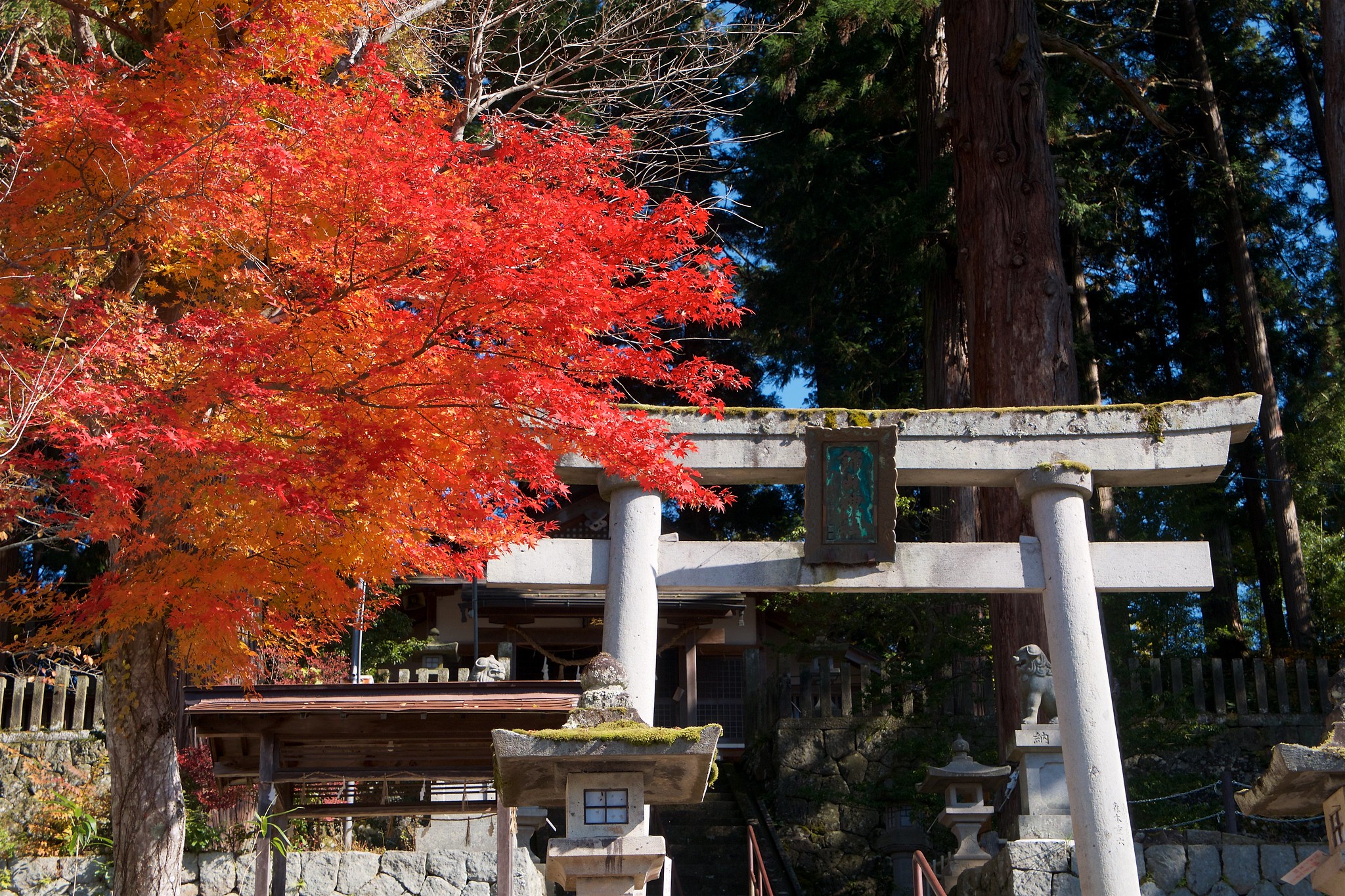 7 meilleures choses à faire à Takayama, Japon [with Suggested Tours]