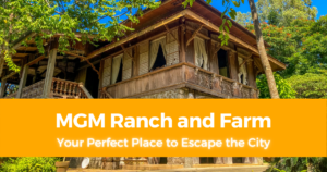 MGM Ranch and Farm Your Perfect Place to Escape the City