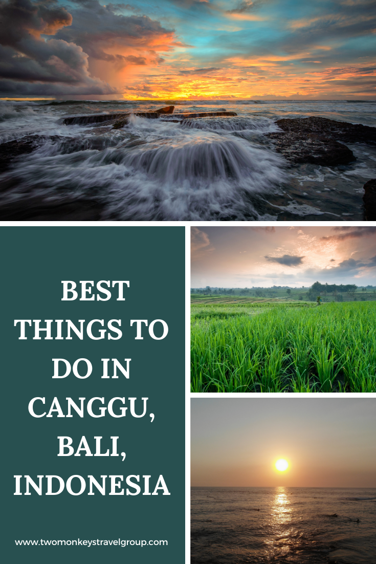 5 best activities to do in Canggu, Bali, Indonesia [DIY Travel Guide to Canggu]