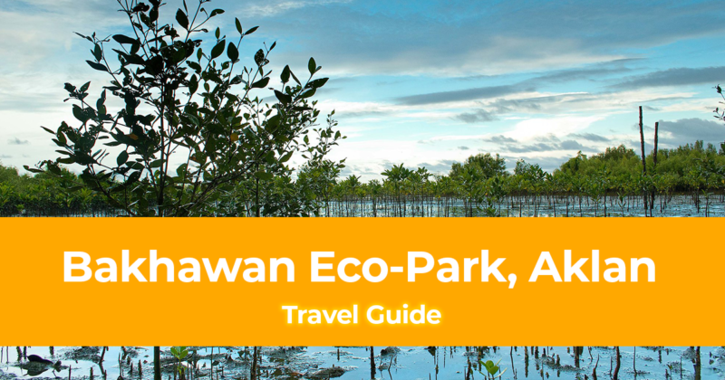 Travel Guide to Bakhawan Eco Park, Aklan, Philippines [Side Trip from Boracay]