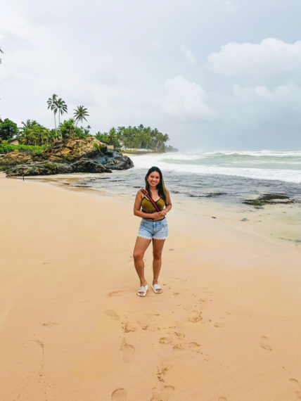 Owl and the Pussycat Hotel A Place for Digital Nomads in Sri Lanka