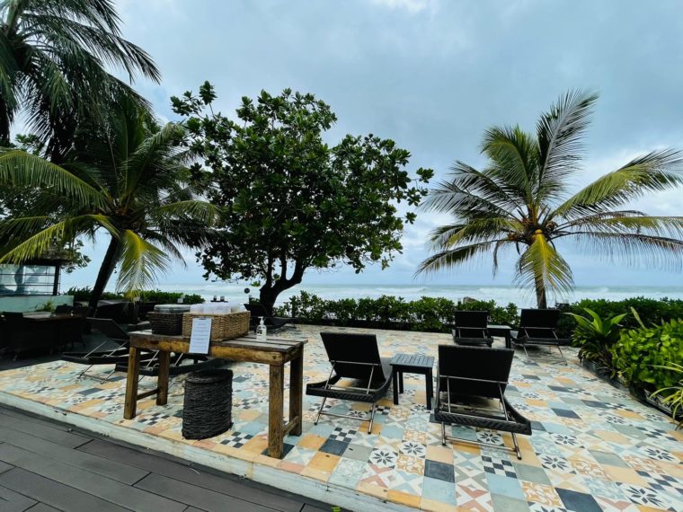 Owl and the Pussycat Hotel A Place for Digital Nomads in Sri Lanka