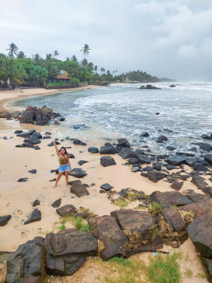 Owl and the Pussycat Hotel A Place for Digital Nomads in Sri Lanka