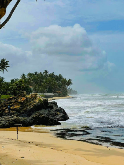 Owl and the Pussycat Hotel A Place for Digital Nomads in Sri Lanka
