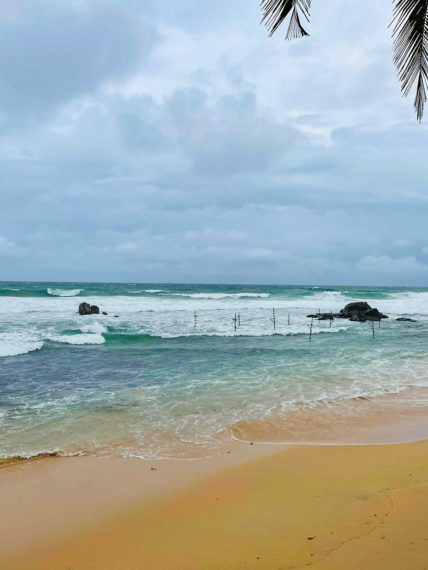 Owl and the Pussycat Hotel A Place for Digital Nomads in Sri Lanka37