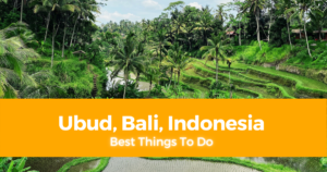 5 Best Things To Do in Ubud, Bali, Indonesia [DIY Travel Guide to Ubud]