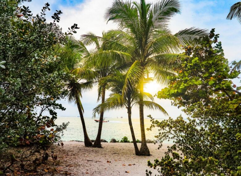 Four Places to Visit On a Road Trip to Florida