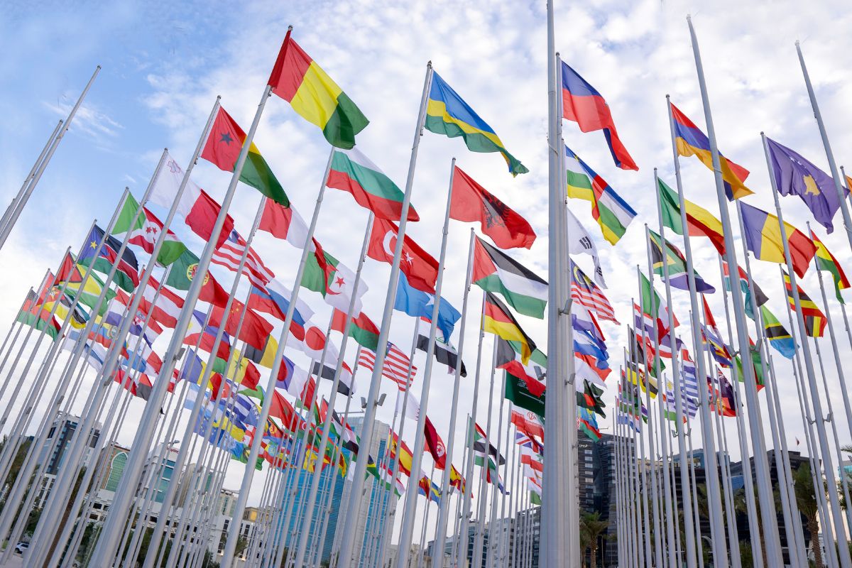 Many flags raised in separate poles