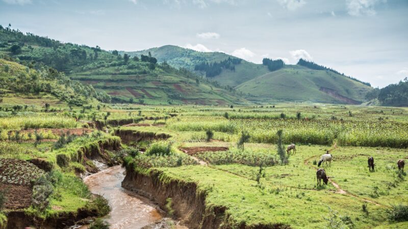 Lush green landscape with mountains and a river