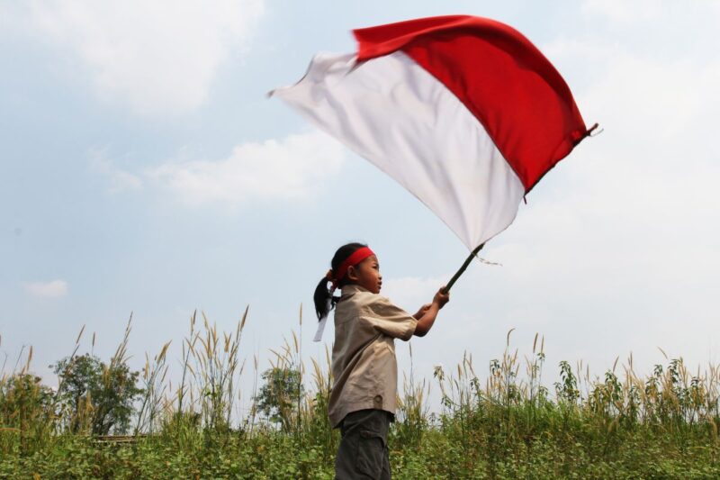 A girl waving a nation's flag in the field