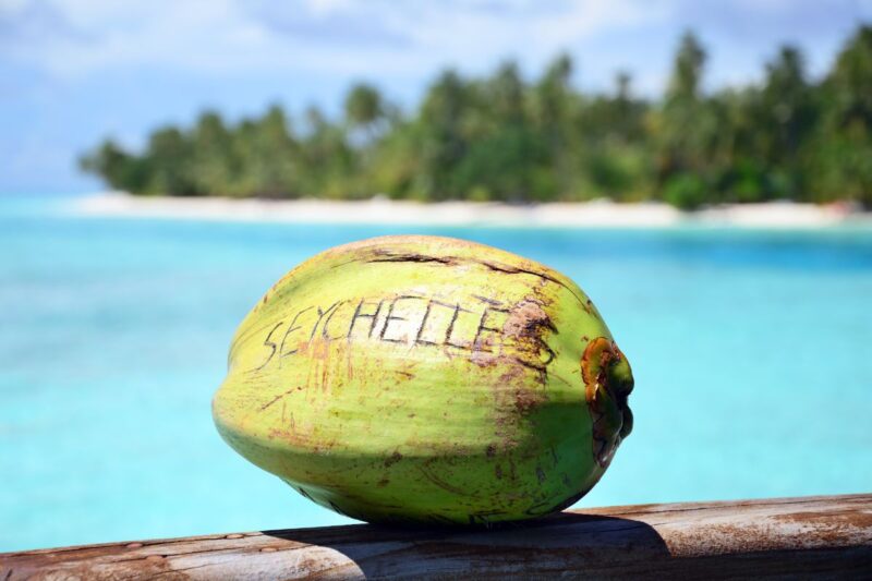 A coconut with a name carved on it