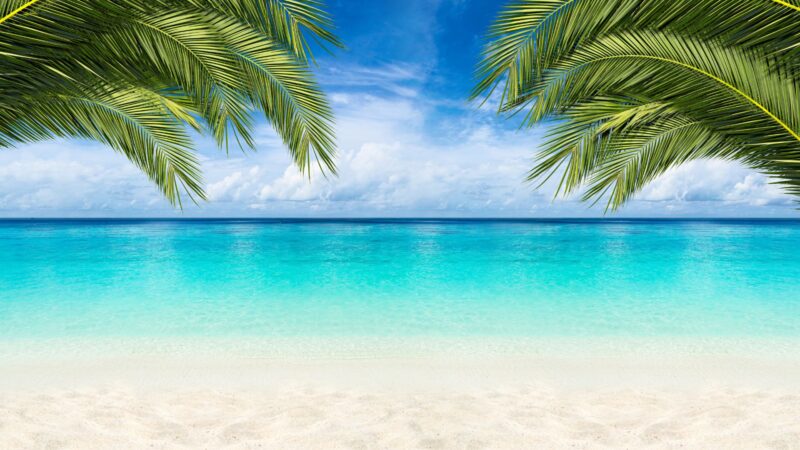 Beautiful ocean and white sand beaches
