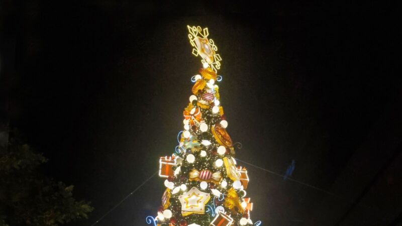 Big Christmas tree in the dark street